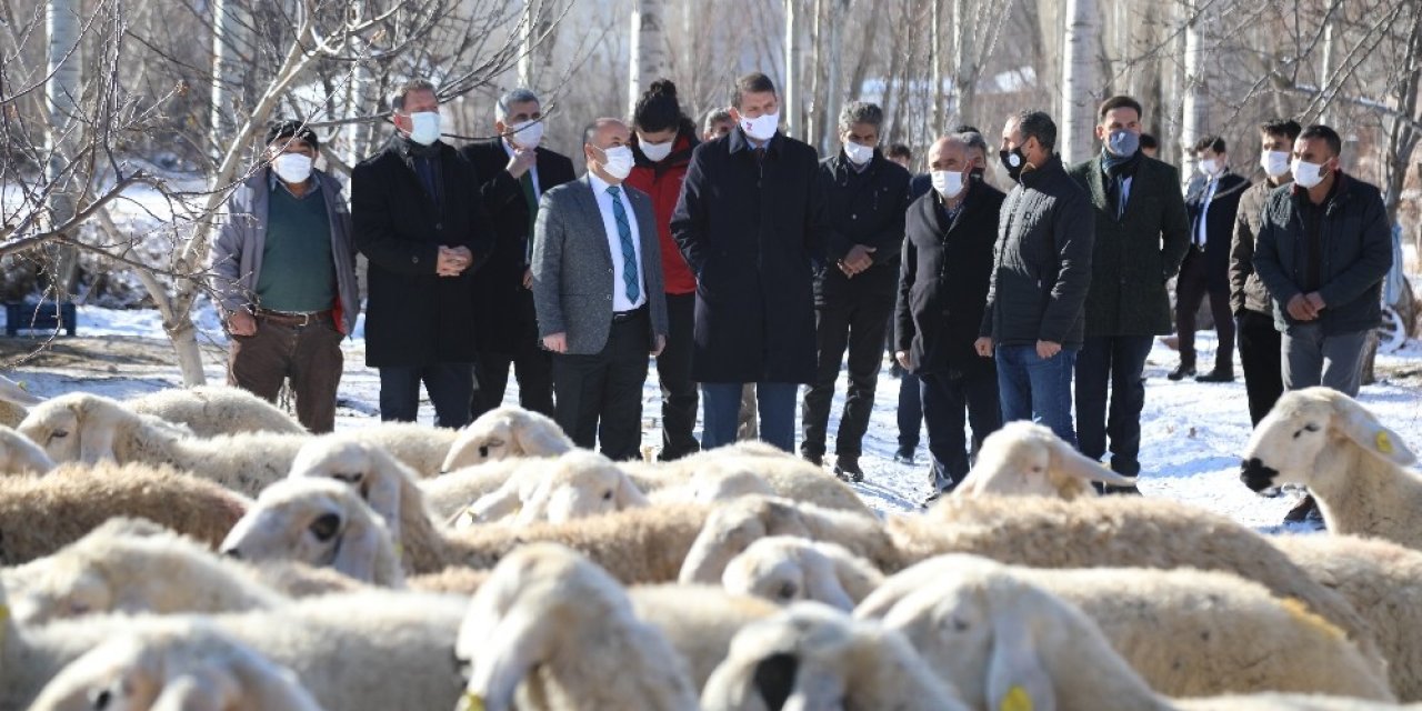 Köylere Geri Göçü Sağlayacak Proje İlk Meyvelerini Verdi