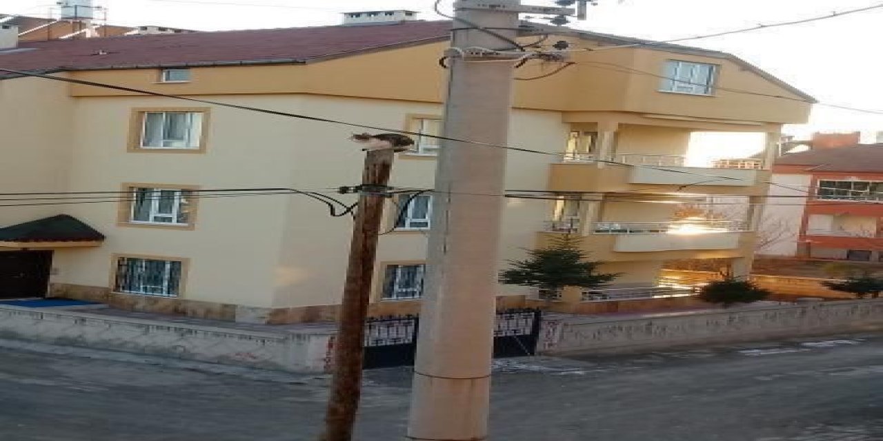 Yaramaz Kedi Başına Gelenlerle Gülümsetti