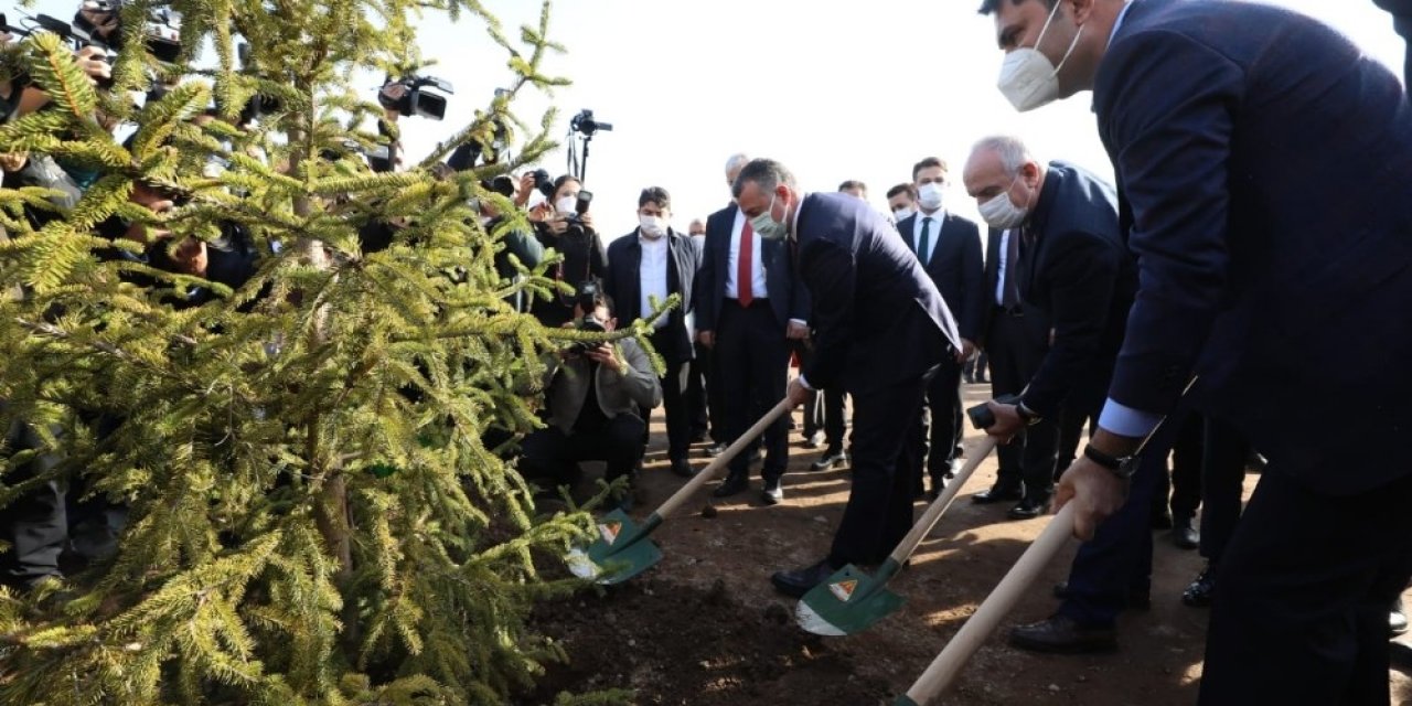Millet Bahçesinin İlk Fidanını Bakan Murat Kurum Dikti