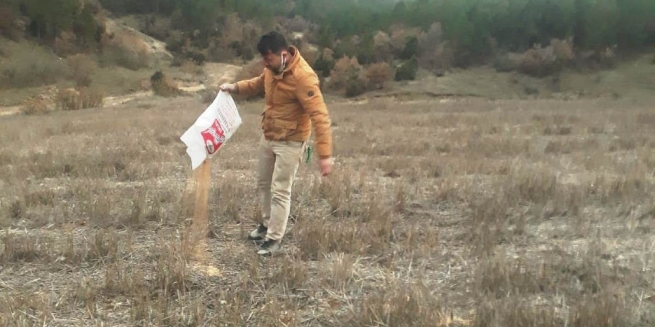 Hisarcık’ta İki Hayvan Sever Kuşlar İçin Doğaya Yem Bıraktı