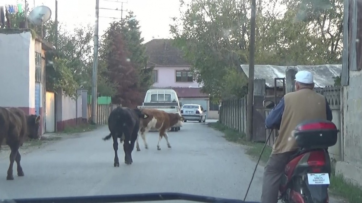 Teknoloji gelişince eşekler yerini elektrikli bisikletlere bıraktı