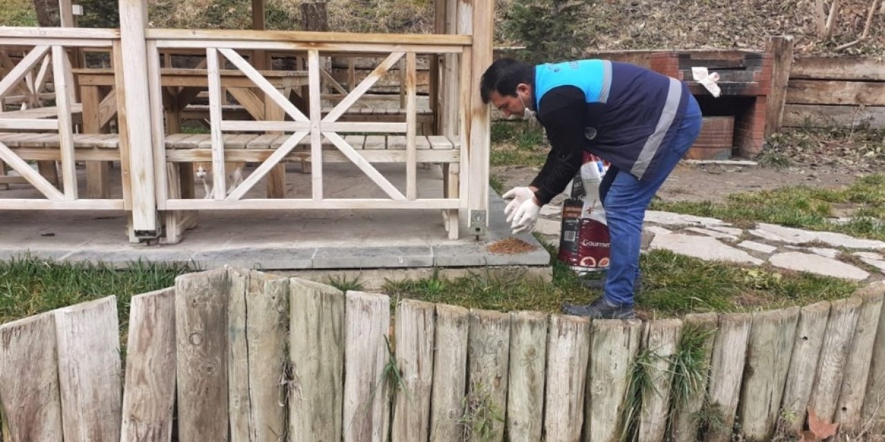 Battalgazi’de Sokak Hayvanları Unutulmadı