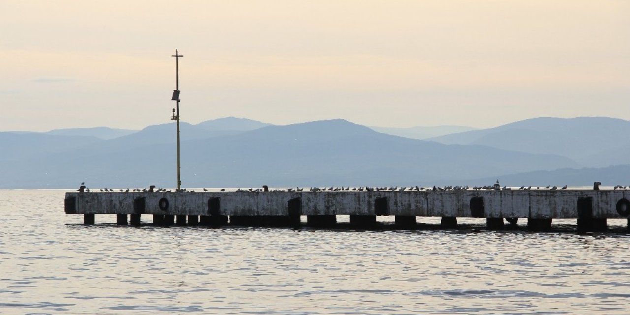 Sinop’ta İskele Martılara Kaldı