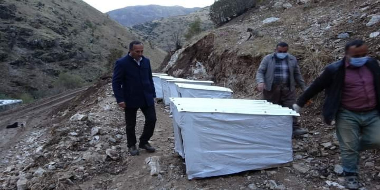 Şemdinli Belediyesi Sokak Hayvanları İçin Önemli Bir Adım Attı