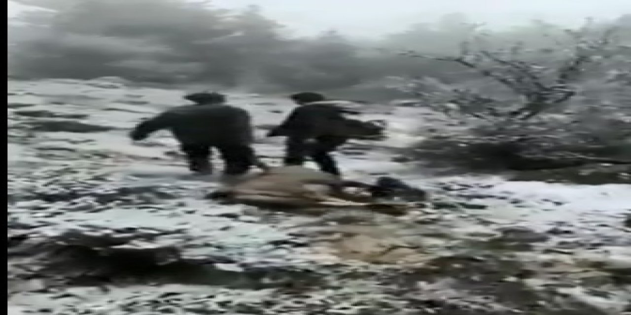 Dağ Keçisi Avlayan Avcılar Sosyal Medyanın Gündeminde