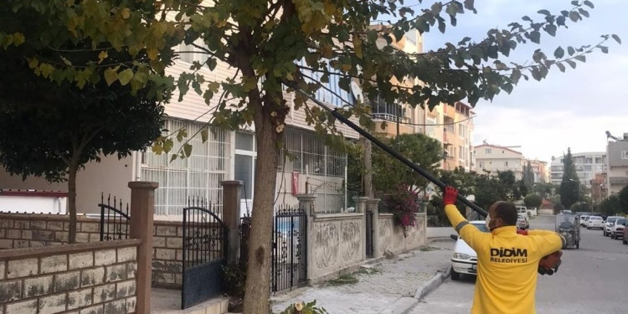 Didim’in Çehresi Değişiyor