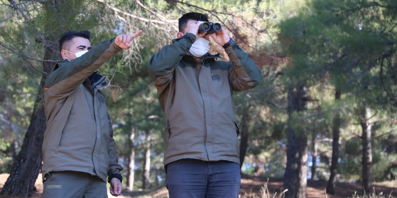 Terörden Koruduğu Dağlarda Şimdi Yaban Hayatını Koruyor