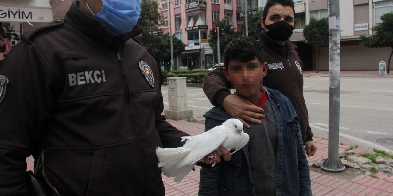 Sokağa Çıkma Kısıtlamasında Güvercinle Yakalandı