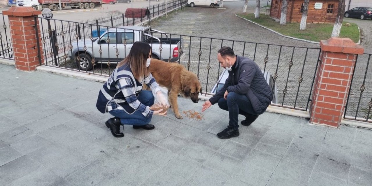 Polisler Sokak Hayvanlarını Besledi