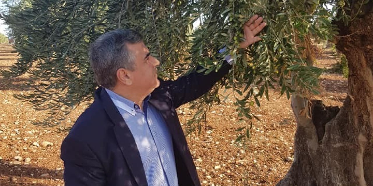 Kilis Zeytinyağına Talep Arttı