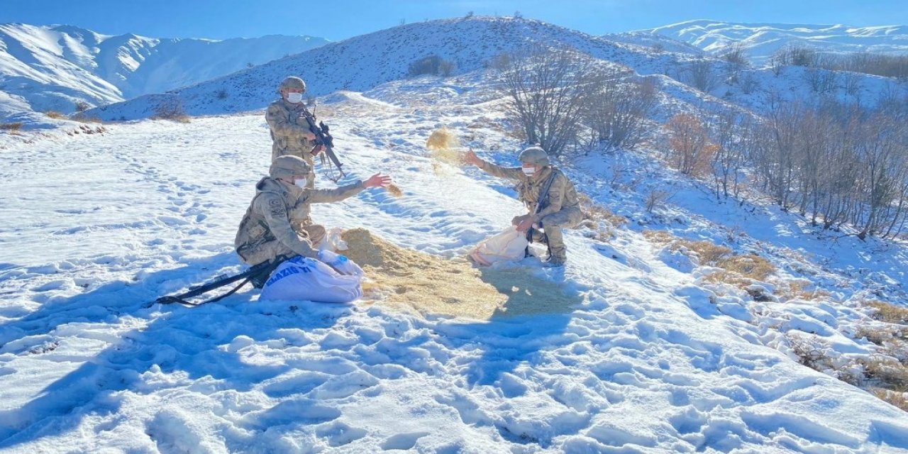 Komandolar, Doğaya Yem Bıraktı