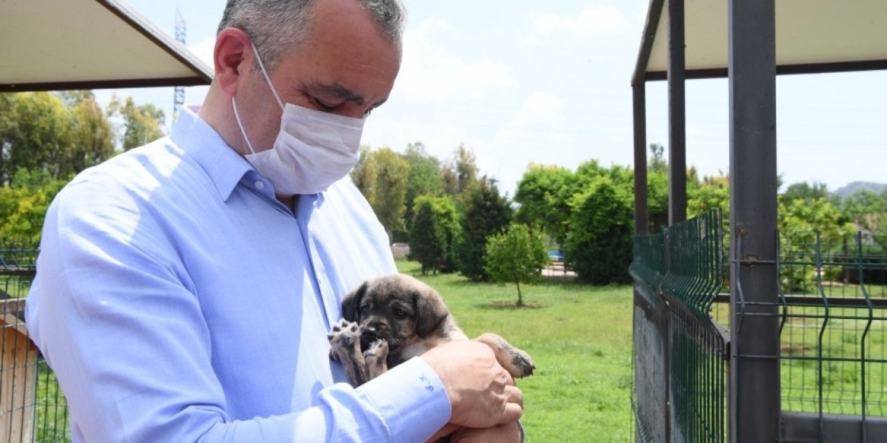Başkan Esen: “minik Dostlarımızı Yalnız Bırakmadık”