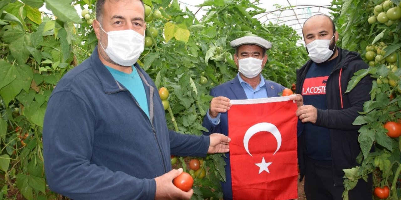 Başpehlivanlar Domatese Sahip Çıktı