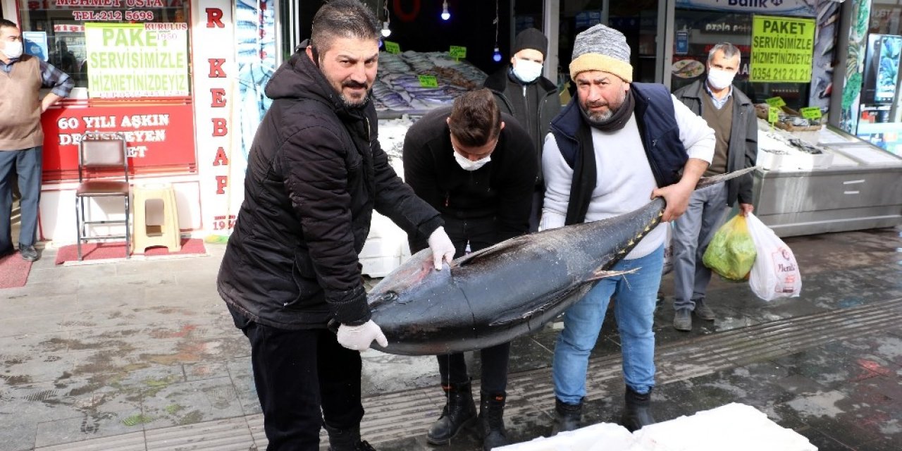 75 Kilogramlık Orkinos Balığını 3 Kişi Zor Kaldırdı