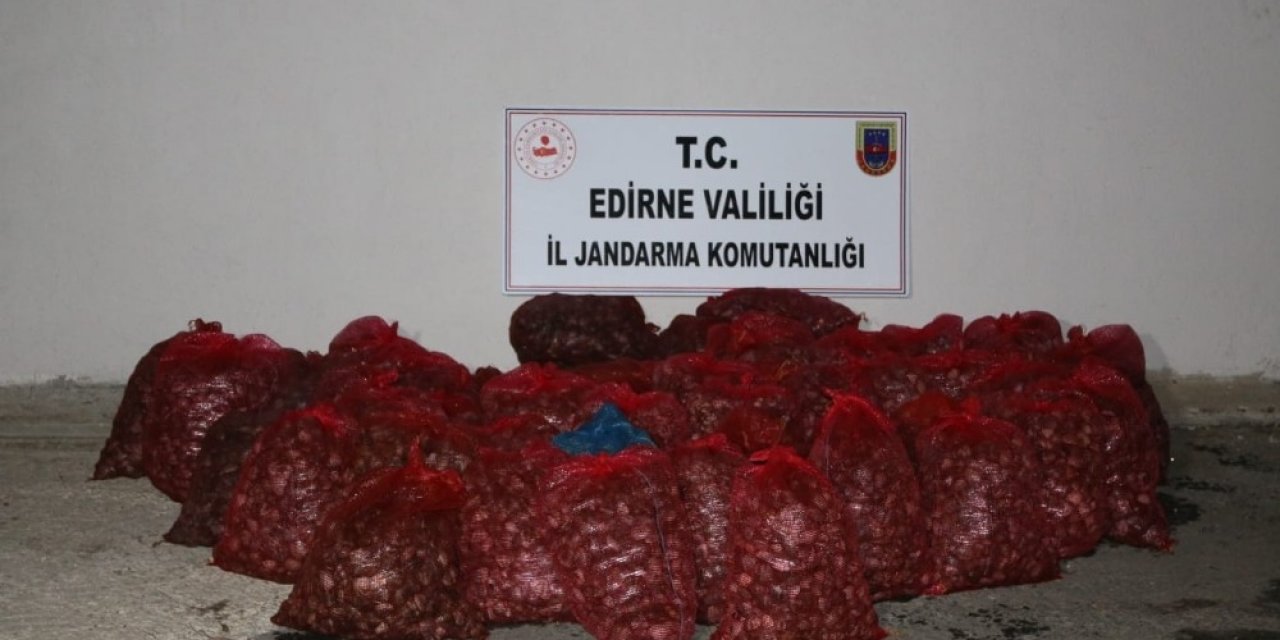 Edirne’de 1 Ton Kaçak Kum Midyesine 100 Bin Tl Ceza Kesildi