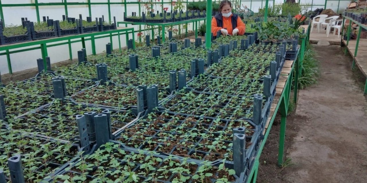 Marmaris’in Çiçek Seraları 1,5 Milyon Tl Tasarruf Sağlıyor