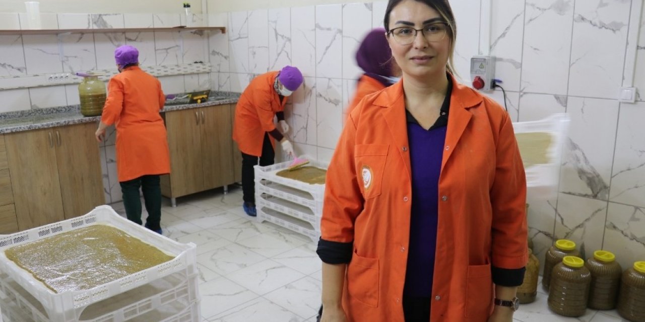 Kadın Kooperatifi Kivi Ve Hurmadan Pestil Üretimine Başladı