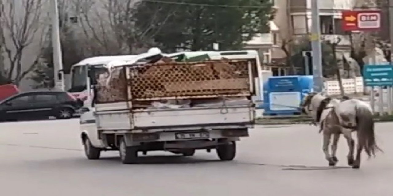 Manisa’da Atın Kamyonete Bağlanıp Yürütülmesi Tepki Çekti