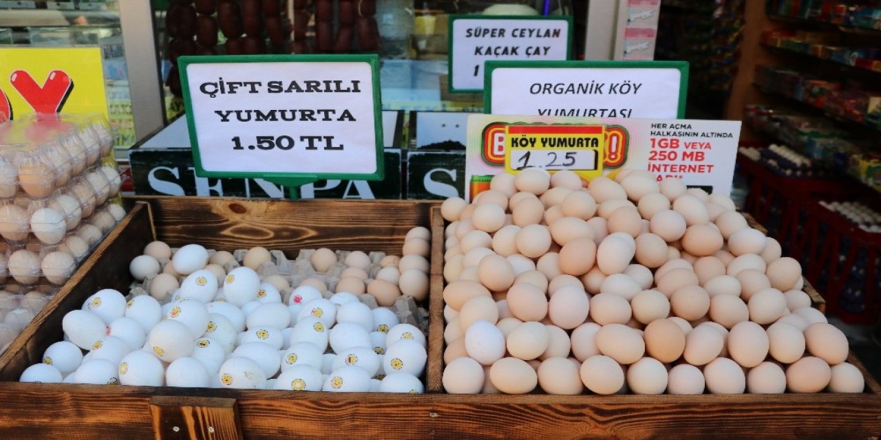 Yumurta "altın" Oldu