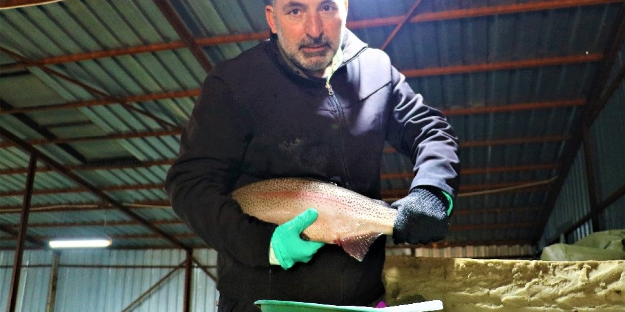 Bozkırda Üretiyor, Dünyaya Satıyor