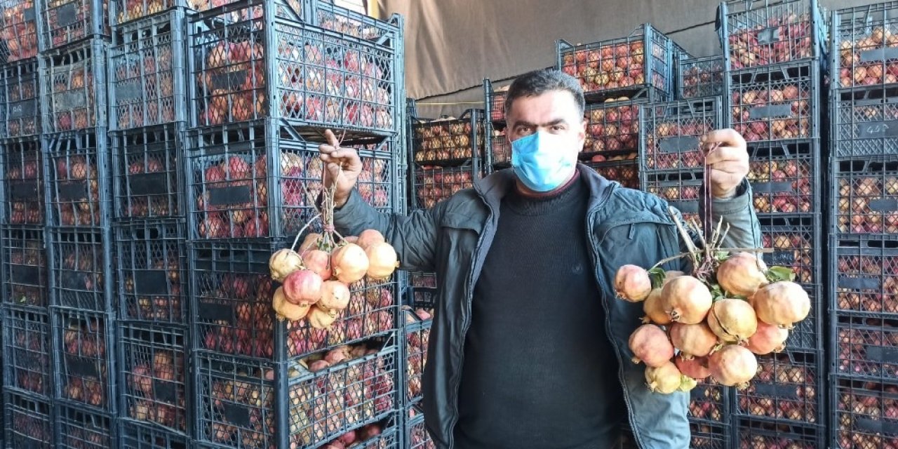 Korona Virüs Zivzik Narına Talebi Artırdı