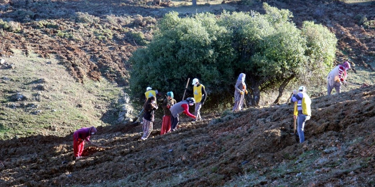 Kilis’te Aroma Vadisi Oluşturuldu