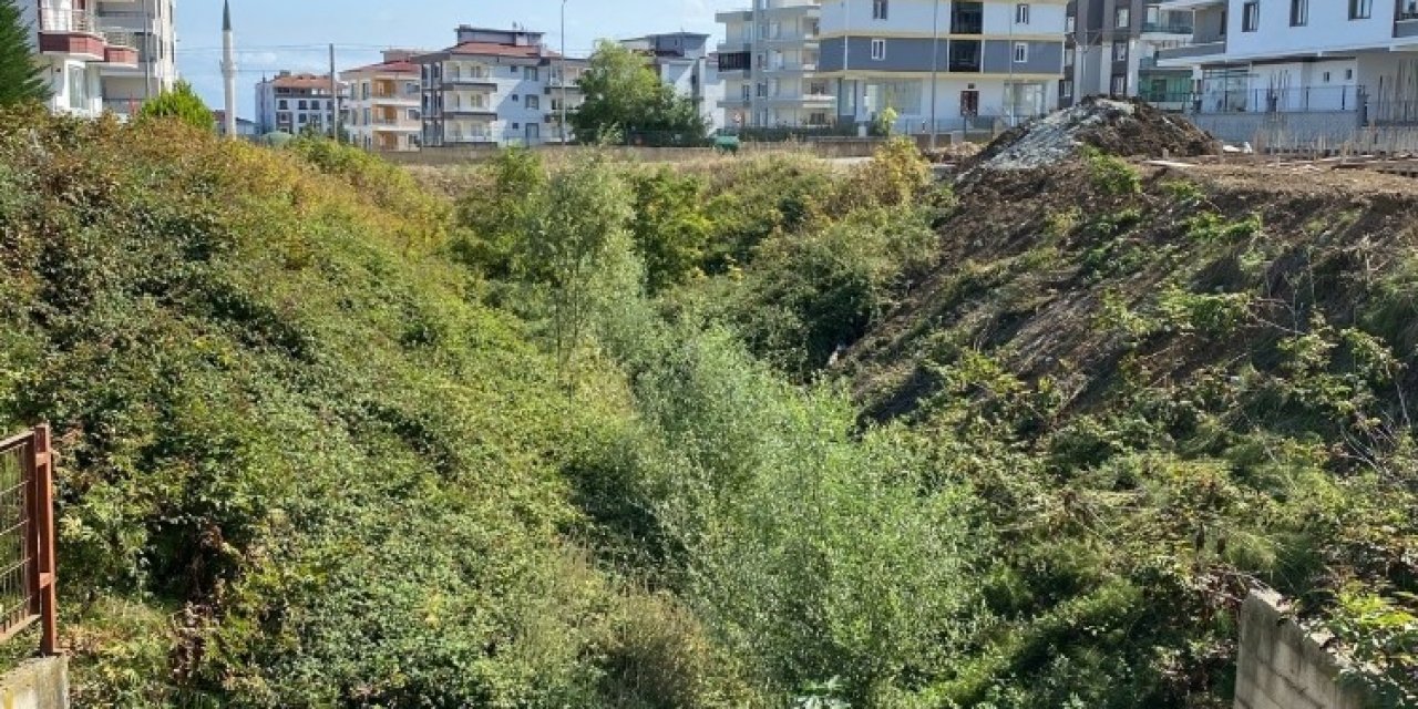 Sazak Deresi Islah Ediliyor