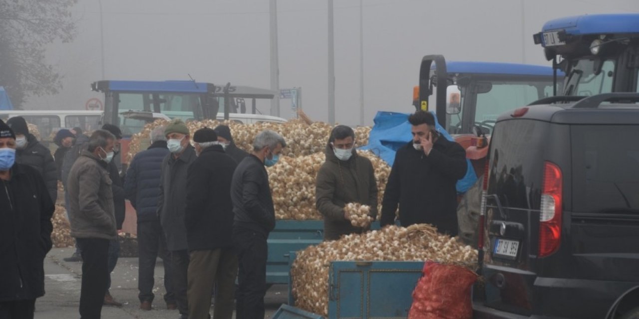 Taşköprü Sarımsağı, Avrupa Birliği Yolunda