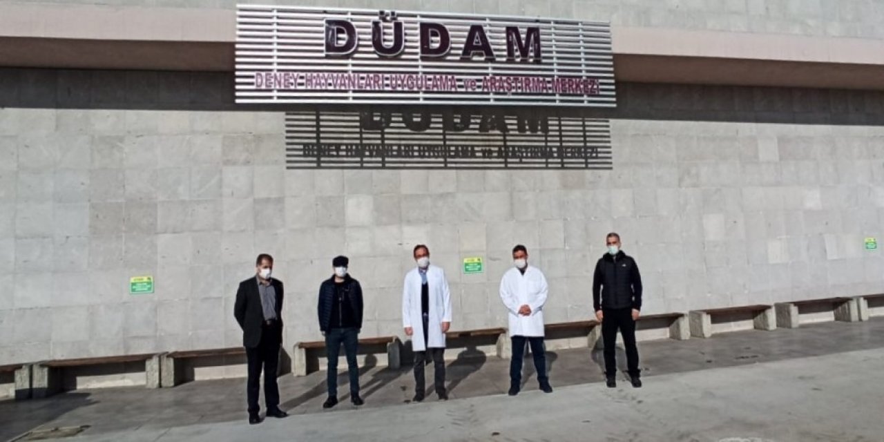 Üniversite’nin Denek Hayvanları Denetimden Geçti