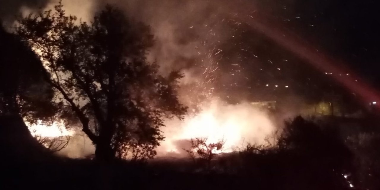 Samandağ’da Zeytinlik Yangını