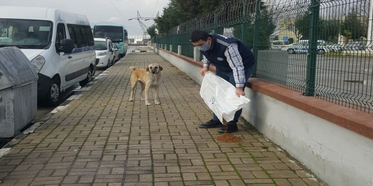 Manisa’da Sokak Hayvanlarına Mama Desteği