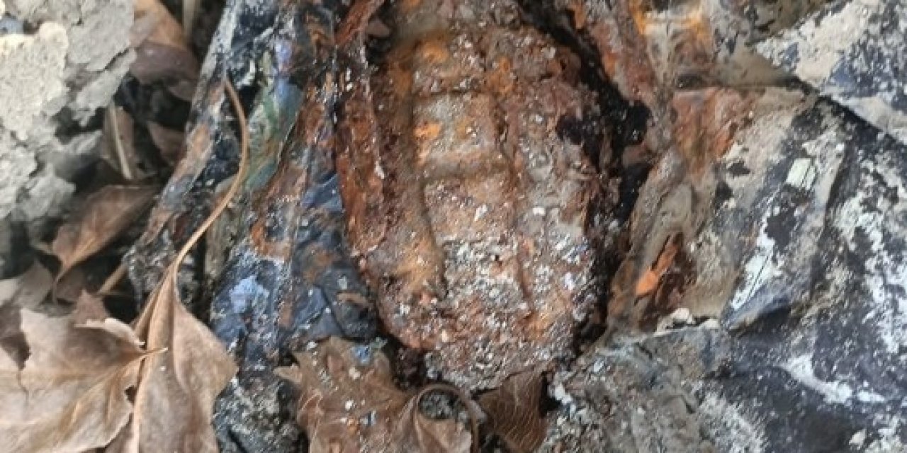 Ağaç Kovuğuna El Bombası Saklayan İki Şüpheli Yakalandı