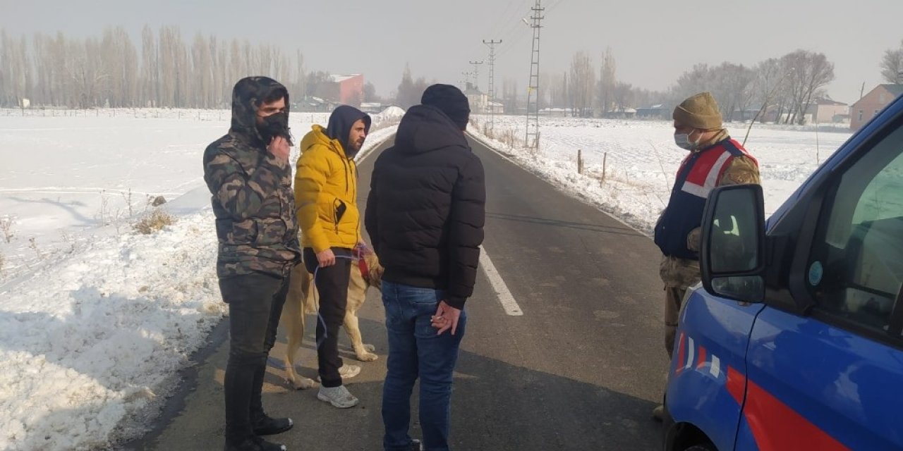 Sokağa Çıkma Yasağında Kaybolan Köpeği Jandarma Buldu