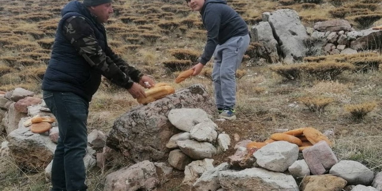 Yaban Hayvanlarına Yem Bırakıldı