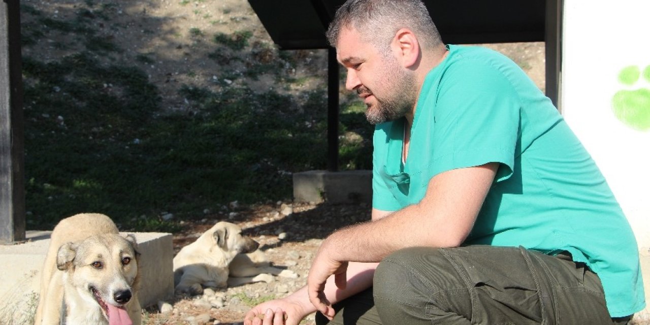 2 Aylık İken Yaralı Bulunan Lady, 5 Yıl Sonra Yuvaya Döndü