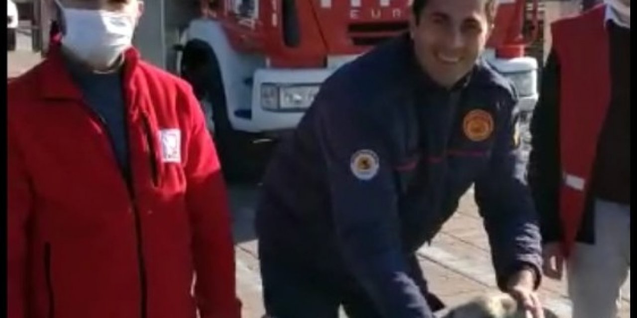 İtfaiye Yeni Yılın İlk Canlısını Kurtardı