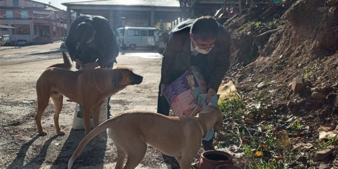 Karacasu’da Başkan İnal Can Dostları Unutmadı