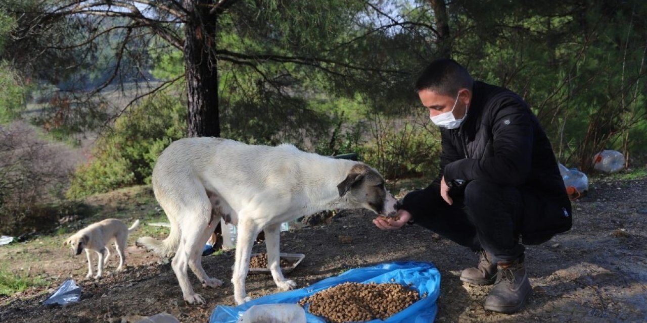 Menderes’te Sokağa Çıkma Kısıtlamasında Sokak Hayvanları Unutulmadı