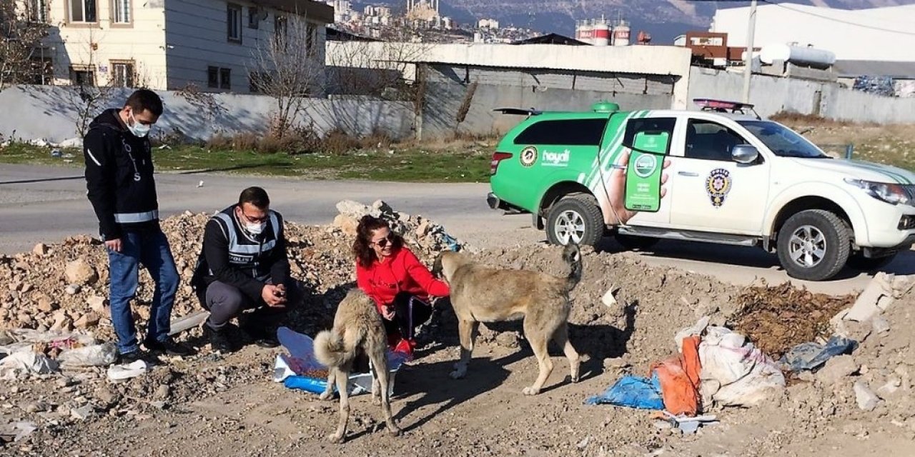 Kısıtlamada Sokak Hayvanlarına Mama