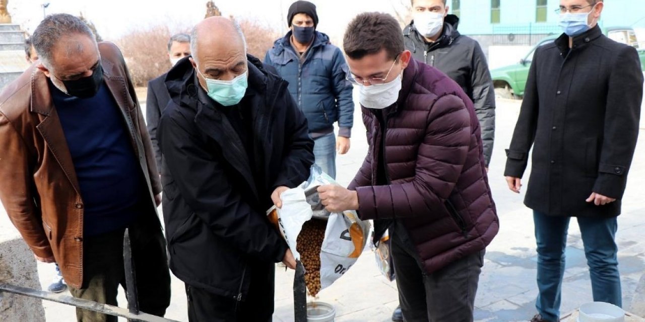 İliç’te Sokak Hayvanları Unutulmadı