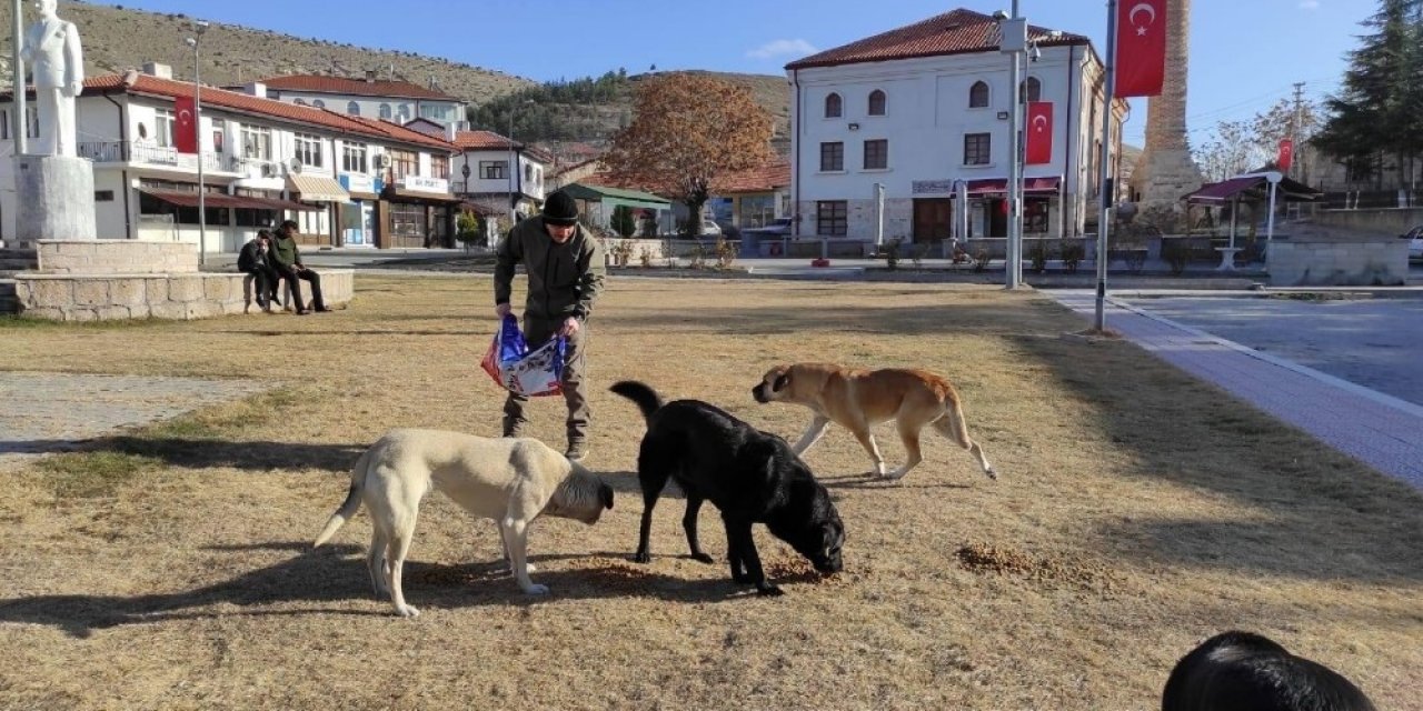 Sokağa Çıkma Yasağında Sevimli Patiler Unutulmadı