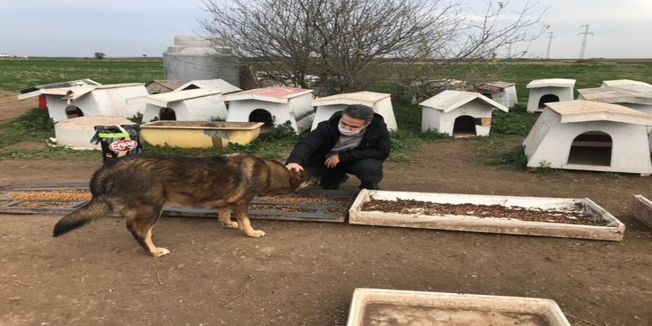 Kaymakam Taşçı Ve Başsavcı Yiğiter, Sokak Hayvanlarını Unutmadı