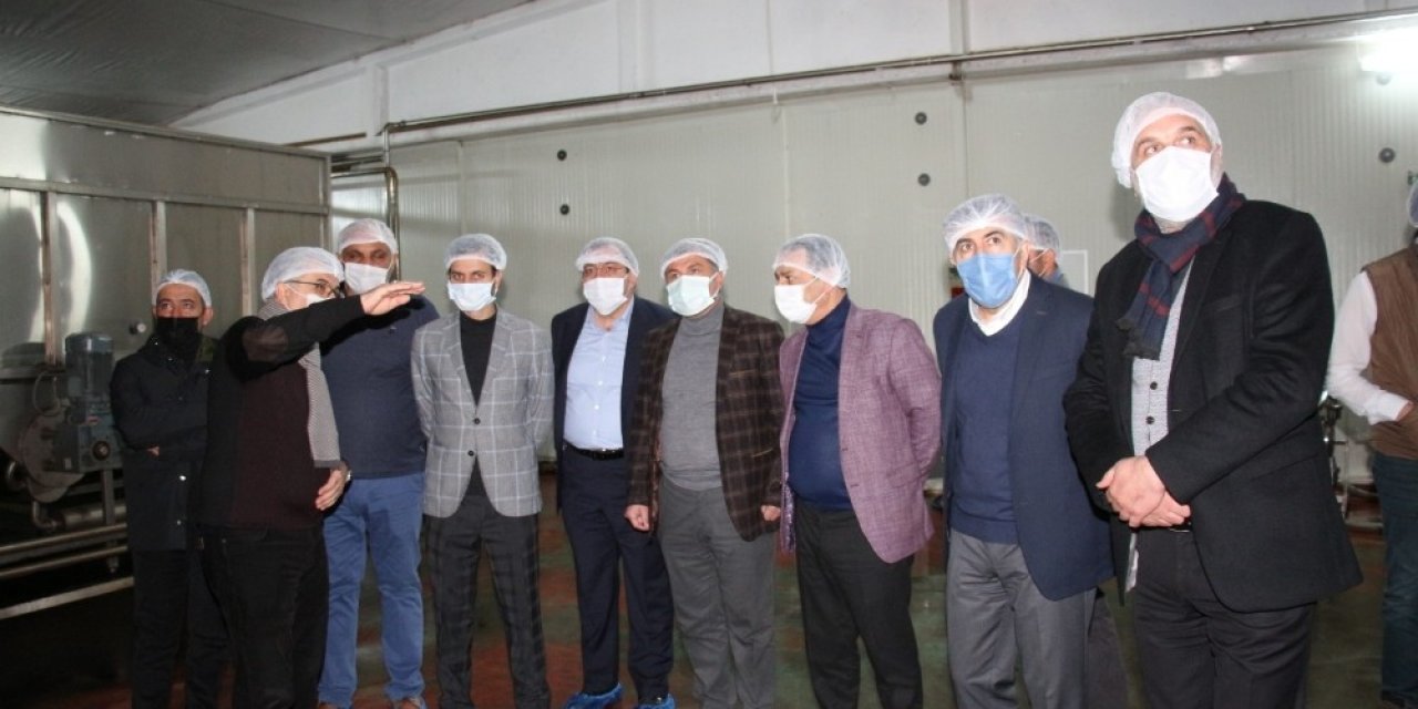 Dut Pekmezi Fabrikalarını İncelediler