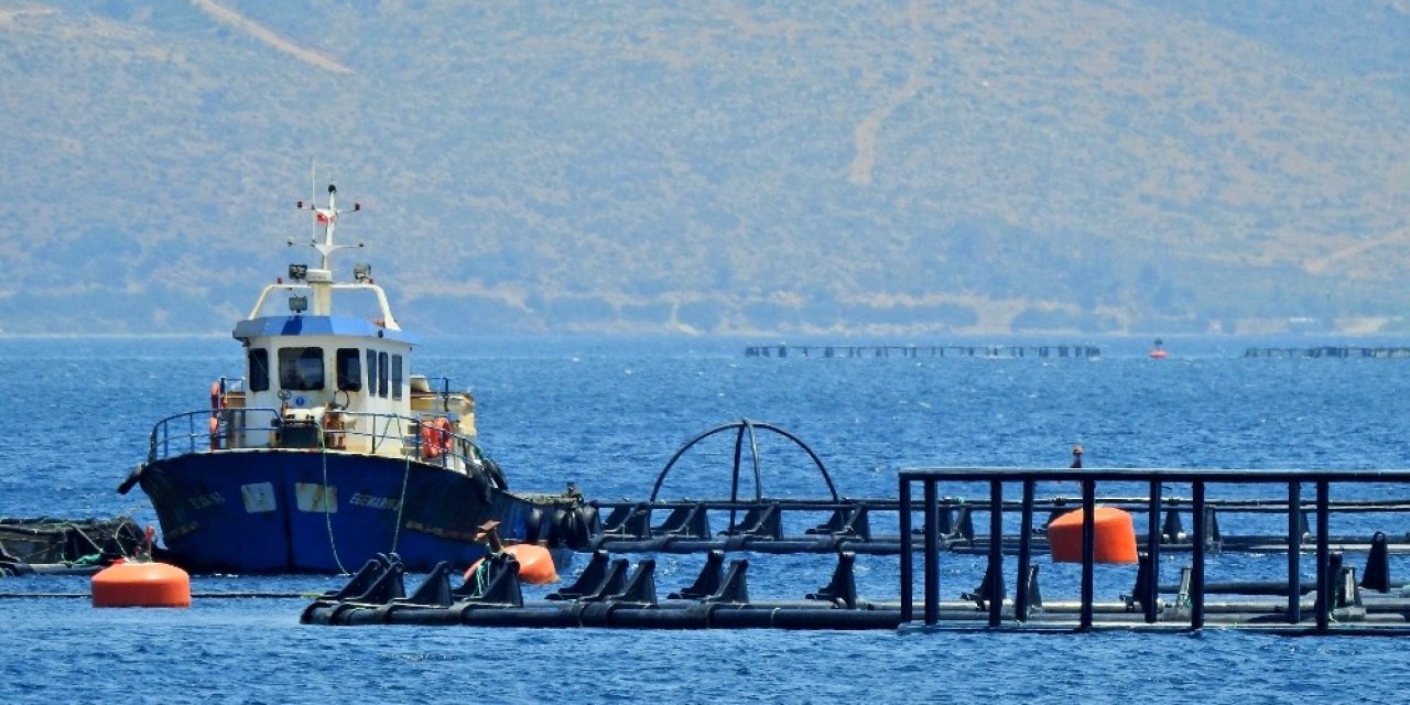 Sığacık’ta Orkinos Üretim Çiftliğine 5. Kez İptal