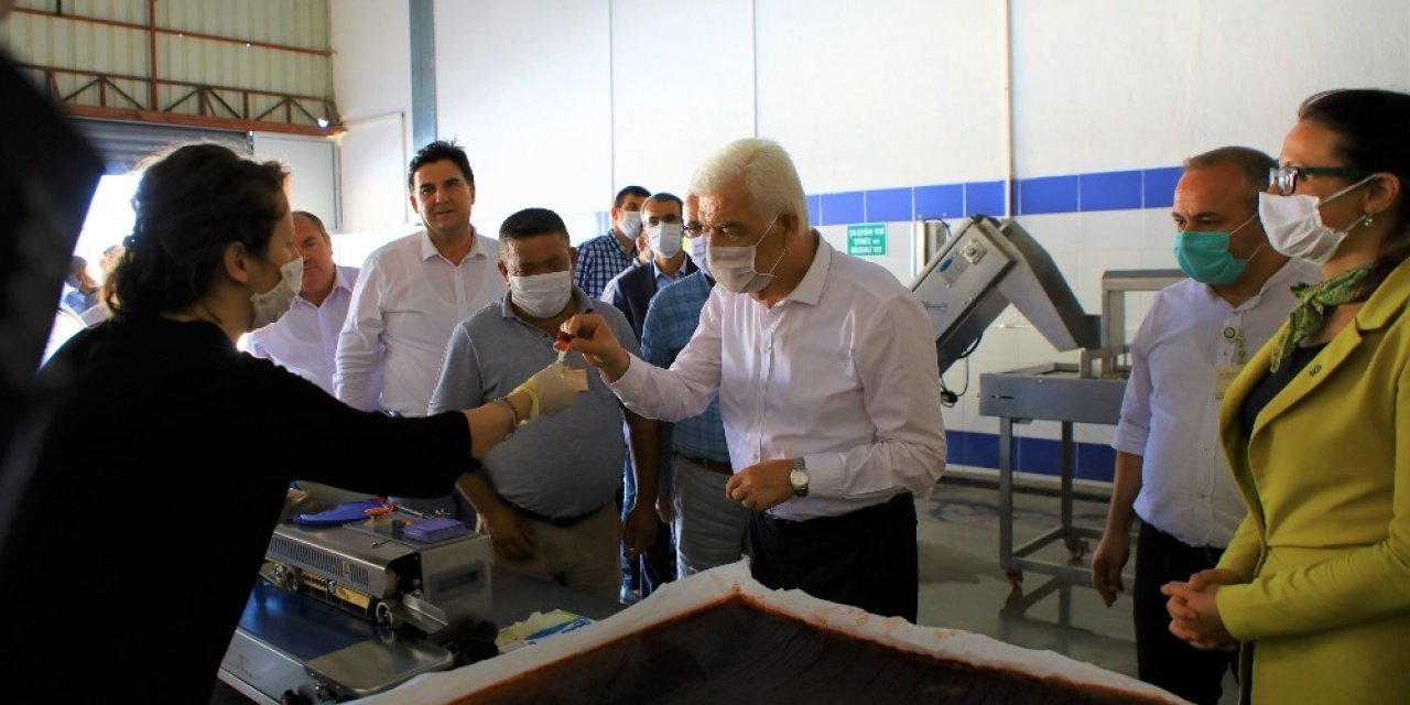 Kurutma Tesisi Üreticiye Destek Sağlamaya Devam Ediyor