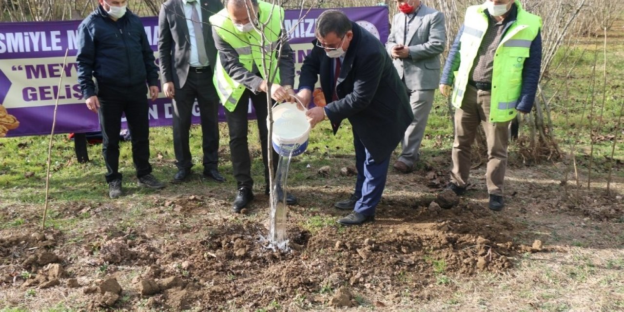 Ordu’da Her İlçeye Ayrı Meyve