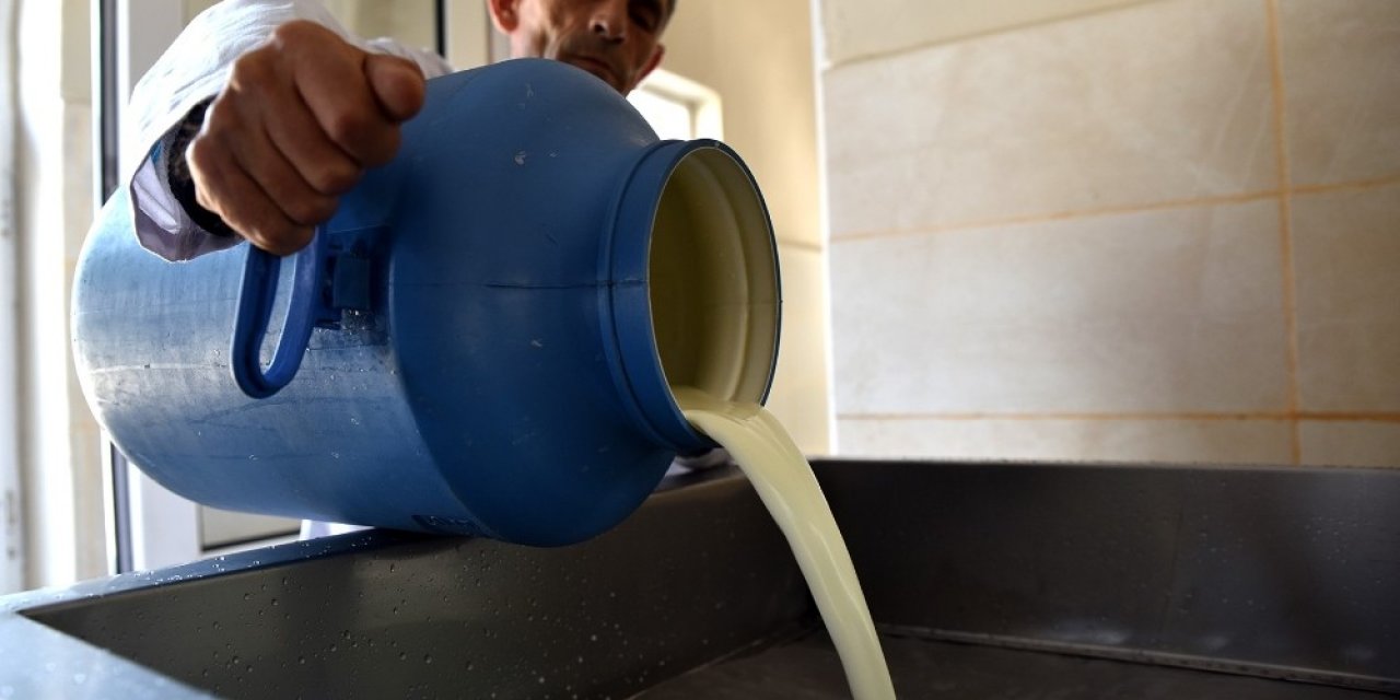 Günde 3 Ton Süt İşleniyor