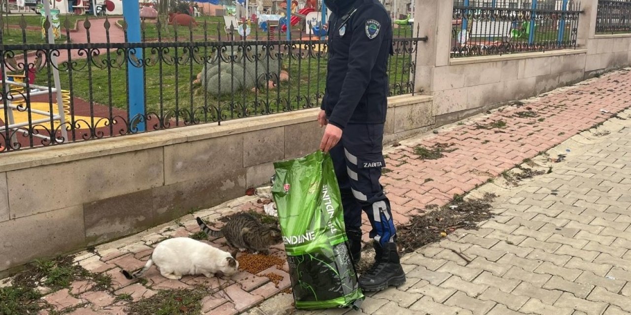 Ergene Belediyesi Sokak Hayvanlarını Yalnız Bırakmıyor