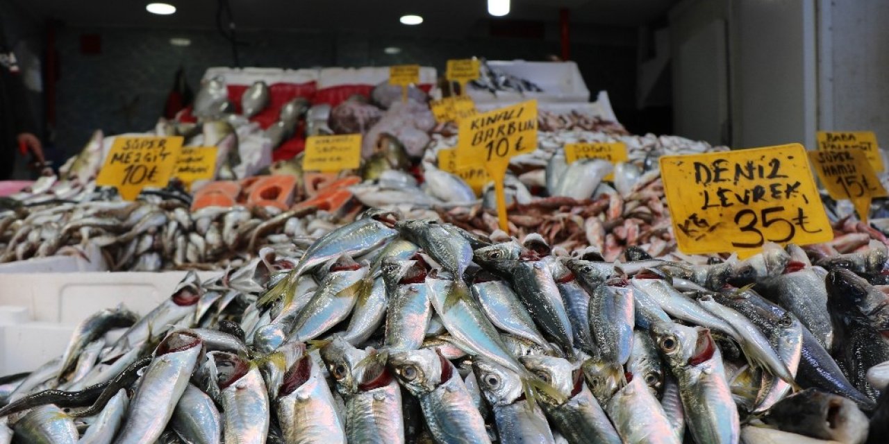 Hamsinin Fiyatı 25 Tl’den 15 Tl’ye Düştü