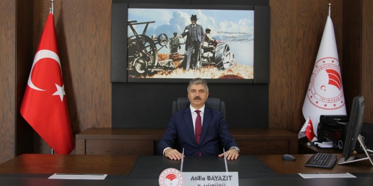 Kırsal Ekonomik Altyapı Yatırımlarının Desteklenmesi Başvuruları Başladı